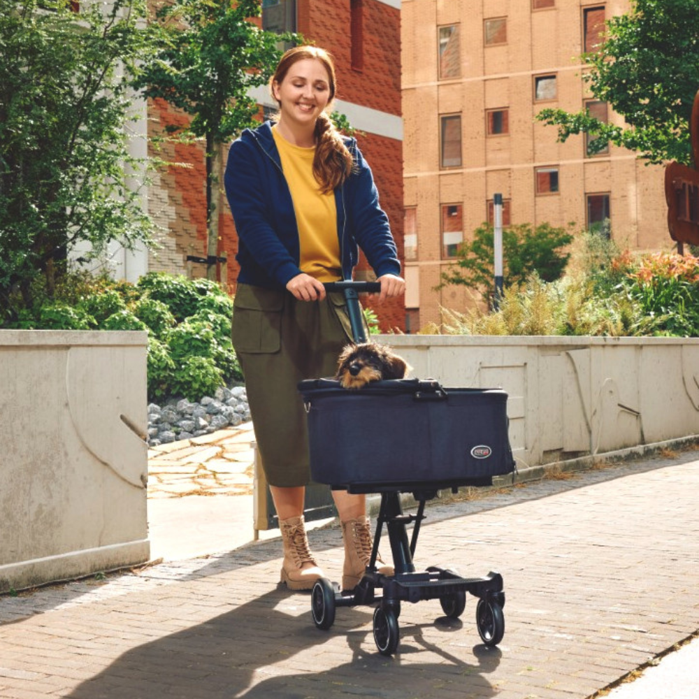 InnoPet City Hopper Hundebuggy für kleine Hunde mit Hund im Einsatz