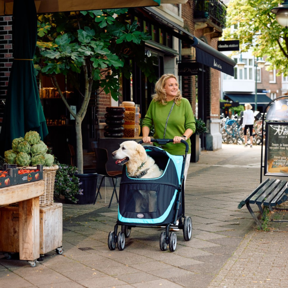 InnoPet® Mammut Hundewagen für große Hunde blau schwarz mit Golden Retriever