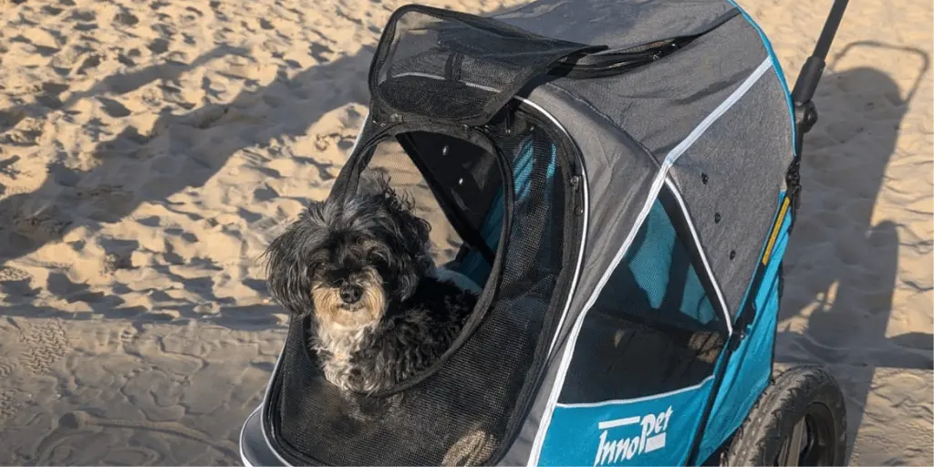Süßer Hund im blauen Hundewagen am Strand in Spanien