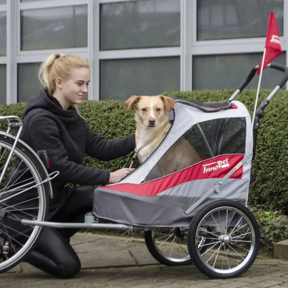 InnoPet® Sporty Trailer Deluxe Hundebuggy/Anhänger rot grau im Einsatz als Fahrradanhänger