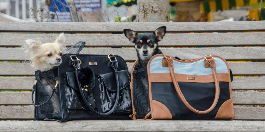 Hundetaschen Jaguar und Urban Hundetaschen Jaguar und Urban