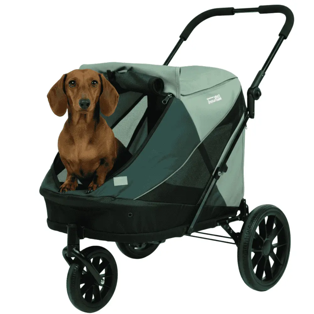 Hundebuggy Noah von InnoPet für kleinere Hunde grün mit Dackel