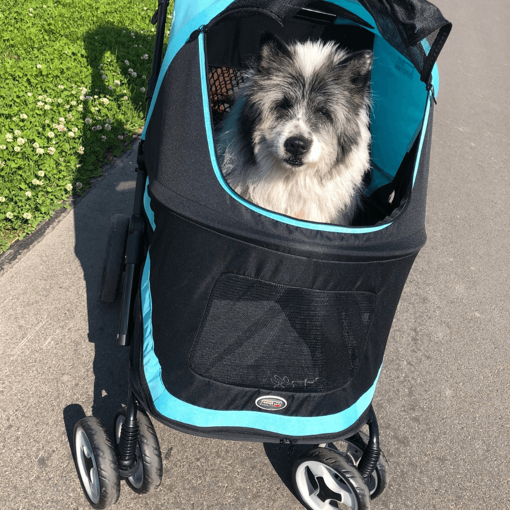InnoPet® Mammut Hundewagen für große Hunde blau schwarz mit Elo