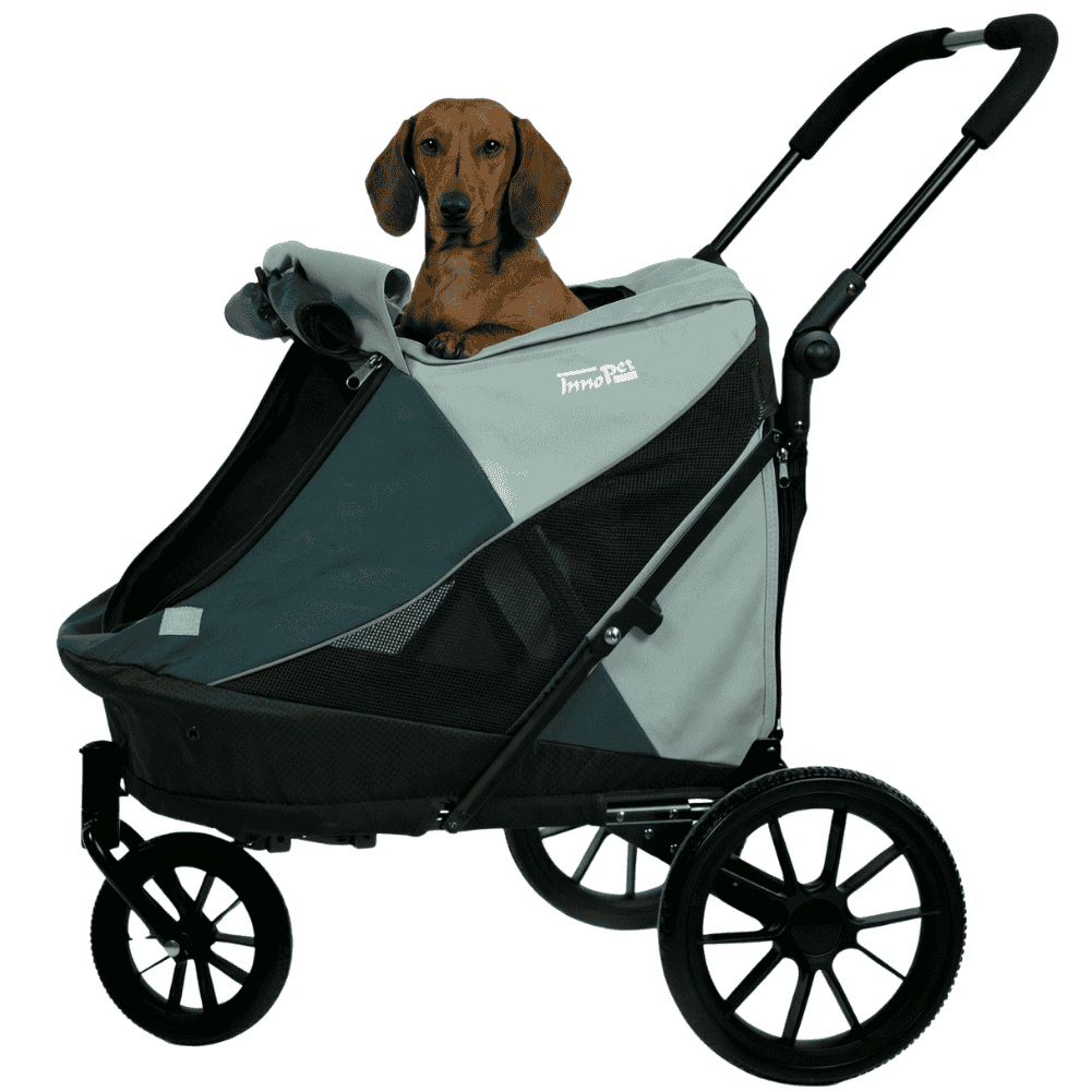 Hundebuggy Noah von InnoPet für kleinere Hunde grün - Dackel guckt oben raus