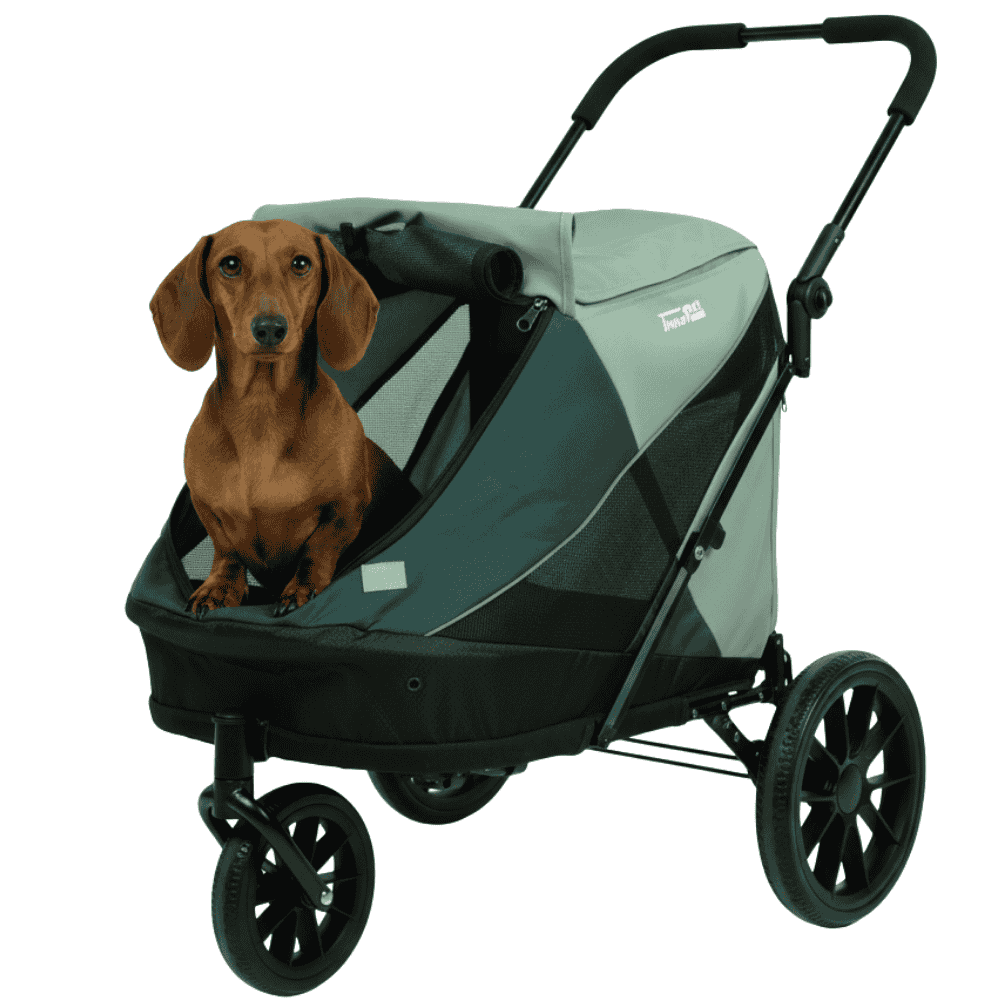 Hundebuggy Noah von InnoPet für kleinere Hunde grün mit Dackel