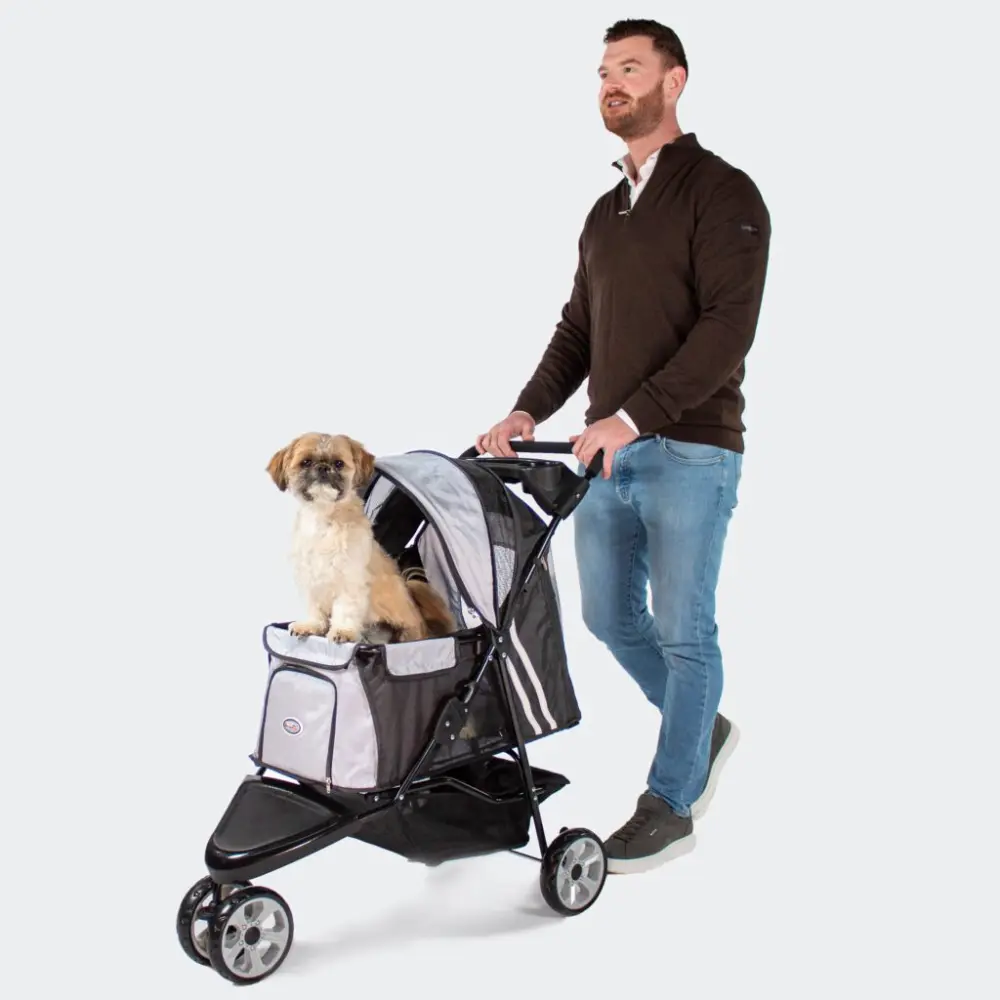 InnoPet All Terrain Hundebuggy mit Shih-Tzu und Hundehalter