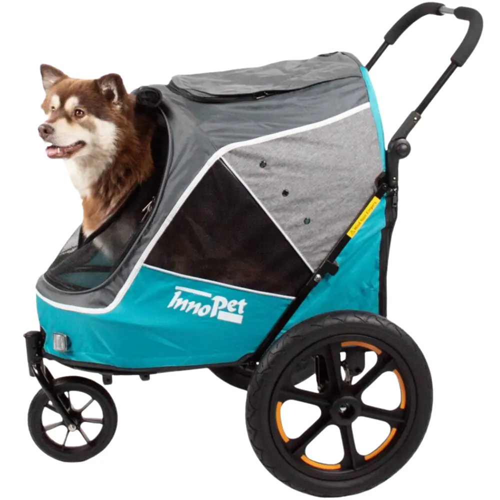 InnoPet® Sporty Trailer Evolution Hundebuggy blau/grau mit Hund