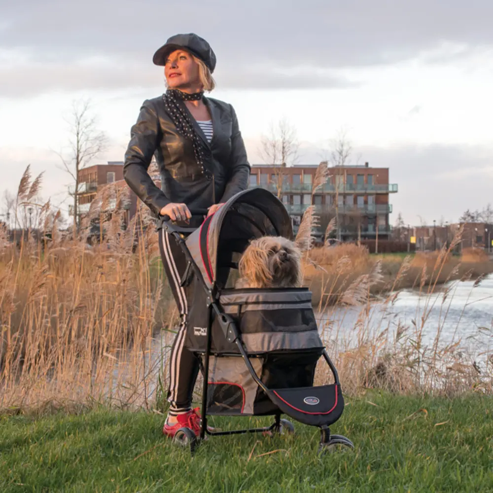 InnoPet® Avenue Hundebuggy hellgrau rot im Einsatz mit einem Hund