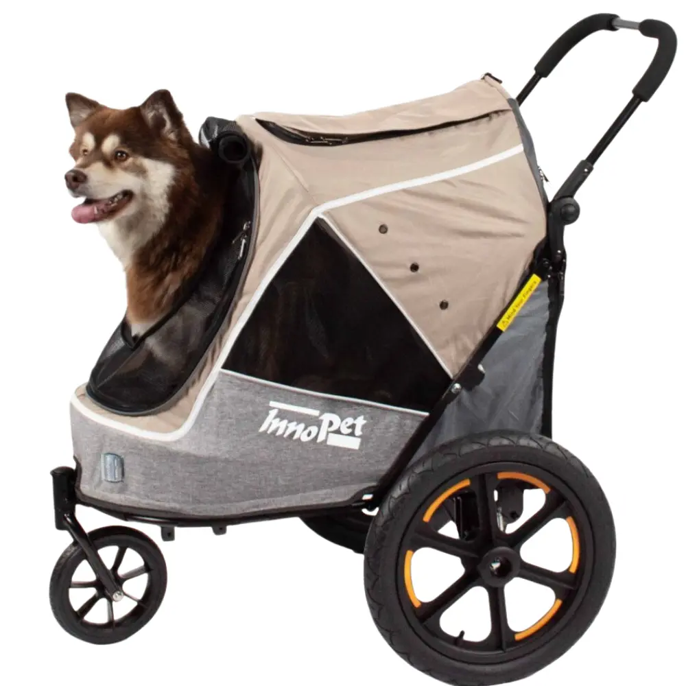 InnoPet® Sporty Trailer Evolution Hundebuggy beige mit Hund