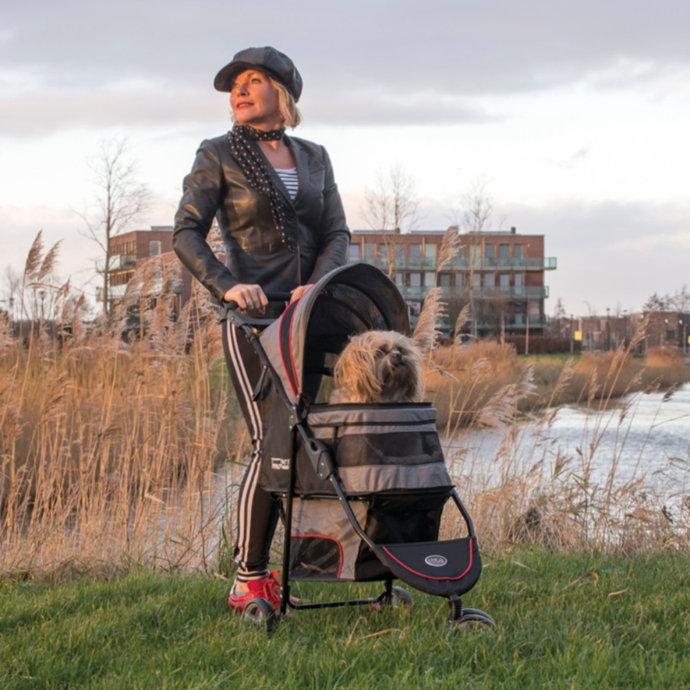 InnoPet® Avenue Hundebuggy hellgrau rot im Einsatz mit einem Hund