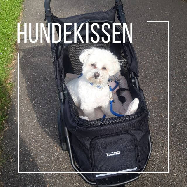 Weißer süßer kleiner Hund im Hundebuggy Premium Cozy schwarz
