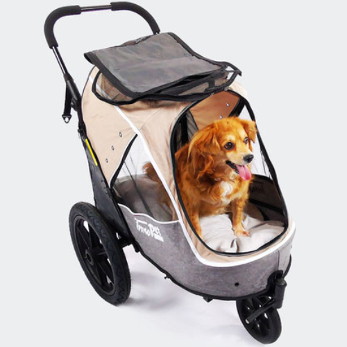 Orthopädisches Hundekissen im Hundebuggy mit Hund