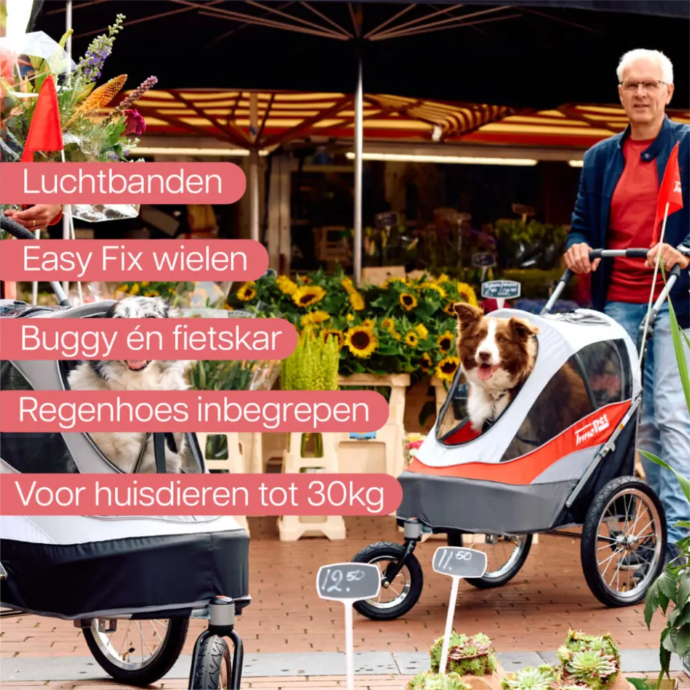 InnoPet® Sporty Trailer Deluxe Hundebuggy rot grau - Details