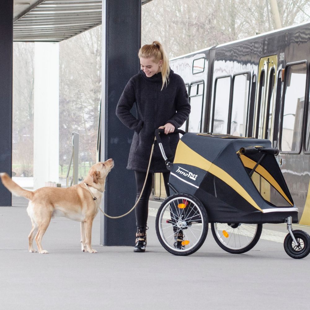 InnoPet® Hercules Trailer im Einsatz mit Golden Retriever