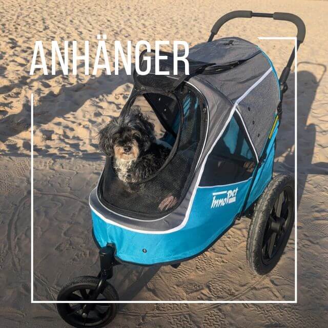 Kleiner süßer Wuschelhund im Fahrradanhänger Sporty Trailer Evolution