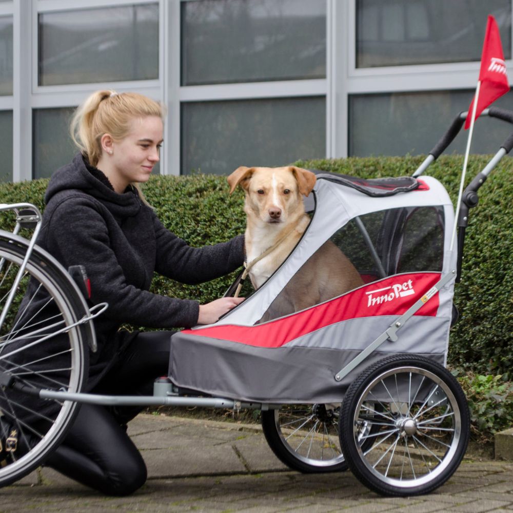 InnoPet® Sporty Trailer Deluxe Anhänger rot grau mit Hund 