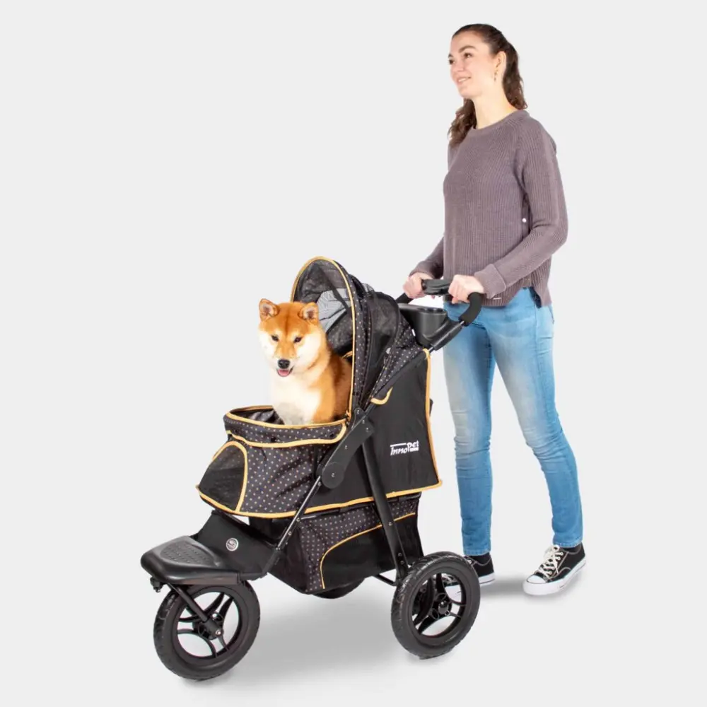 InnoPet® Adventure Hundebuggy schwarz/gold - Hund mit Frauchen