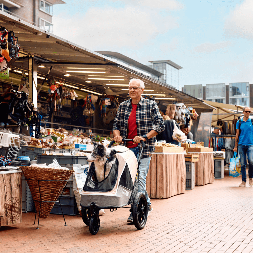 InnoPet® Sporty Trailer Evolution Hundebuggy beige grau im Einsatz