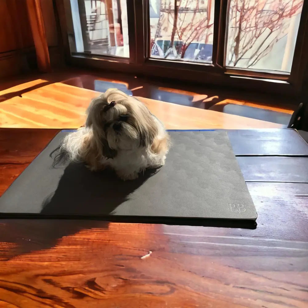 Antirutschmatte Hund mit kleinem Langhaarhund