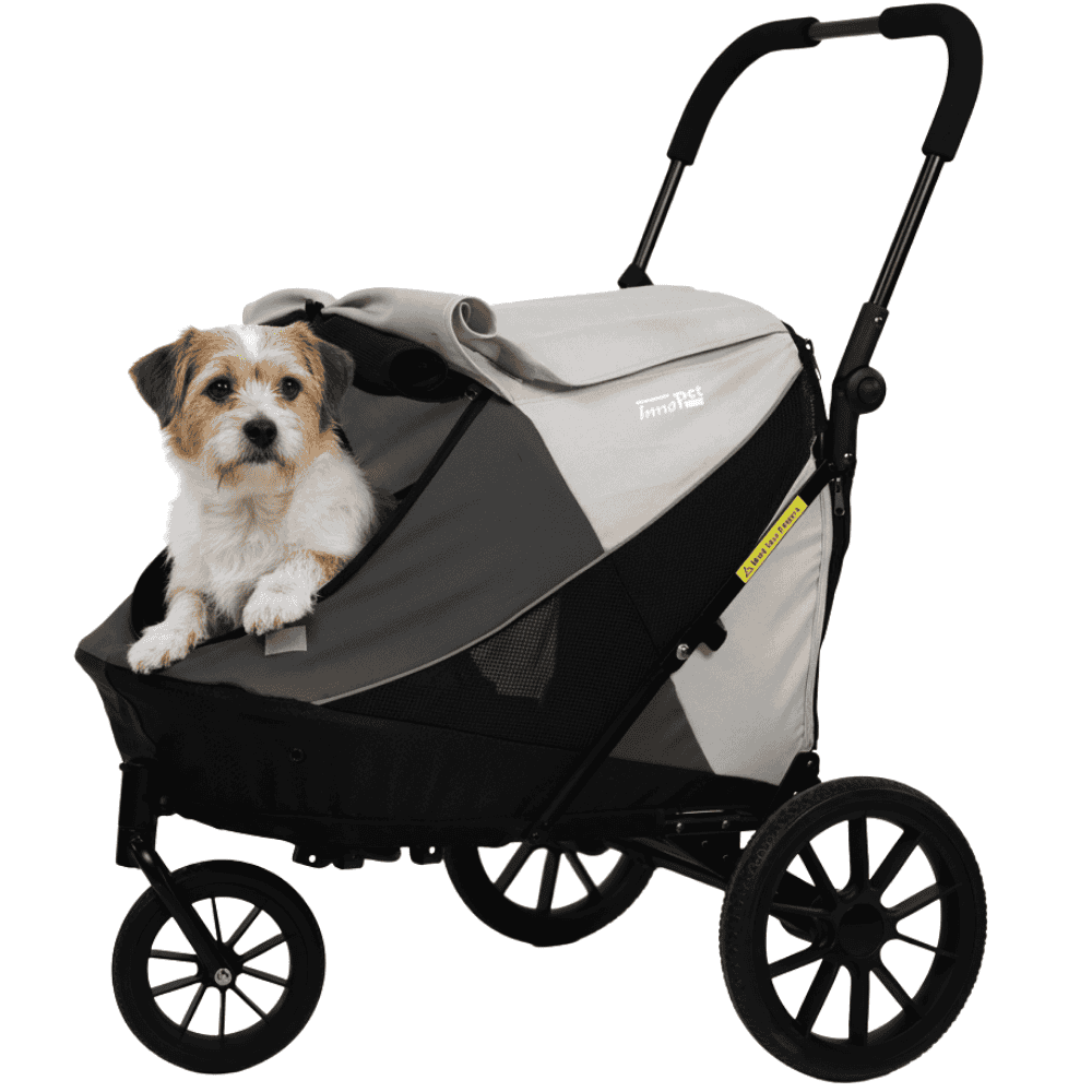 InnoPet Hundebuggy Noah grau mit Hund