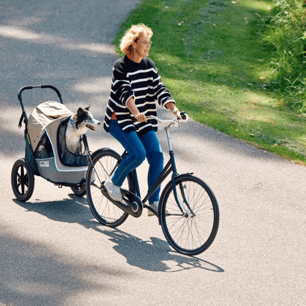 InnoPet® Sporty Trailer Evolution Fahrradanhänger mit Hund beige grau
