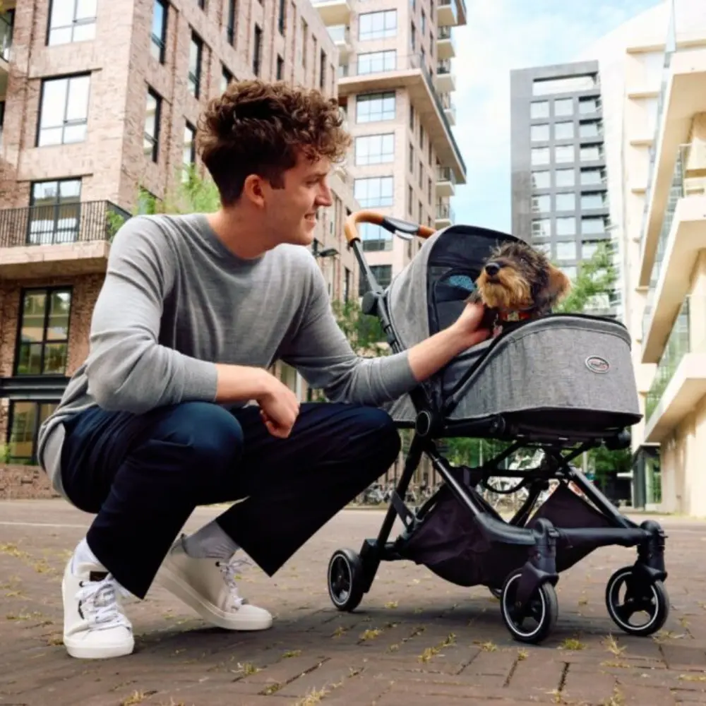 InnoPet® City Hundebuggy grau mit Hund im Einsatz