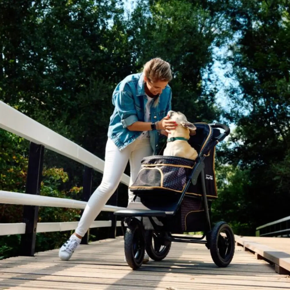 InnoPet® Adventure Hundebuggy schwarz/gold im Einsatz mit Hund auf Brücke