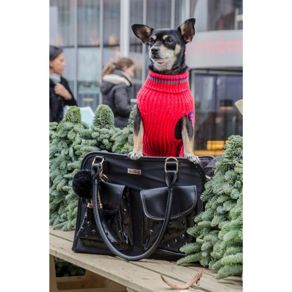 innopet-jaguar-hundetasche-schwarz-einsatz InnoPet® Traveler Jaguar Tragetasche mit Hund schwarz