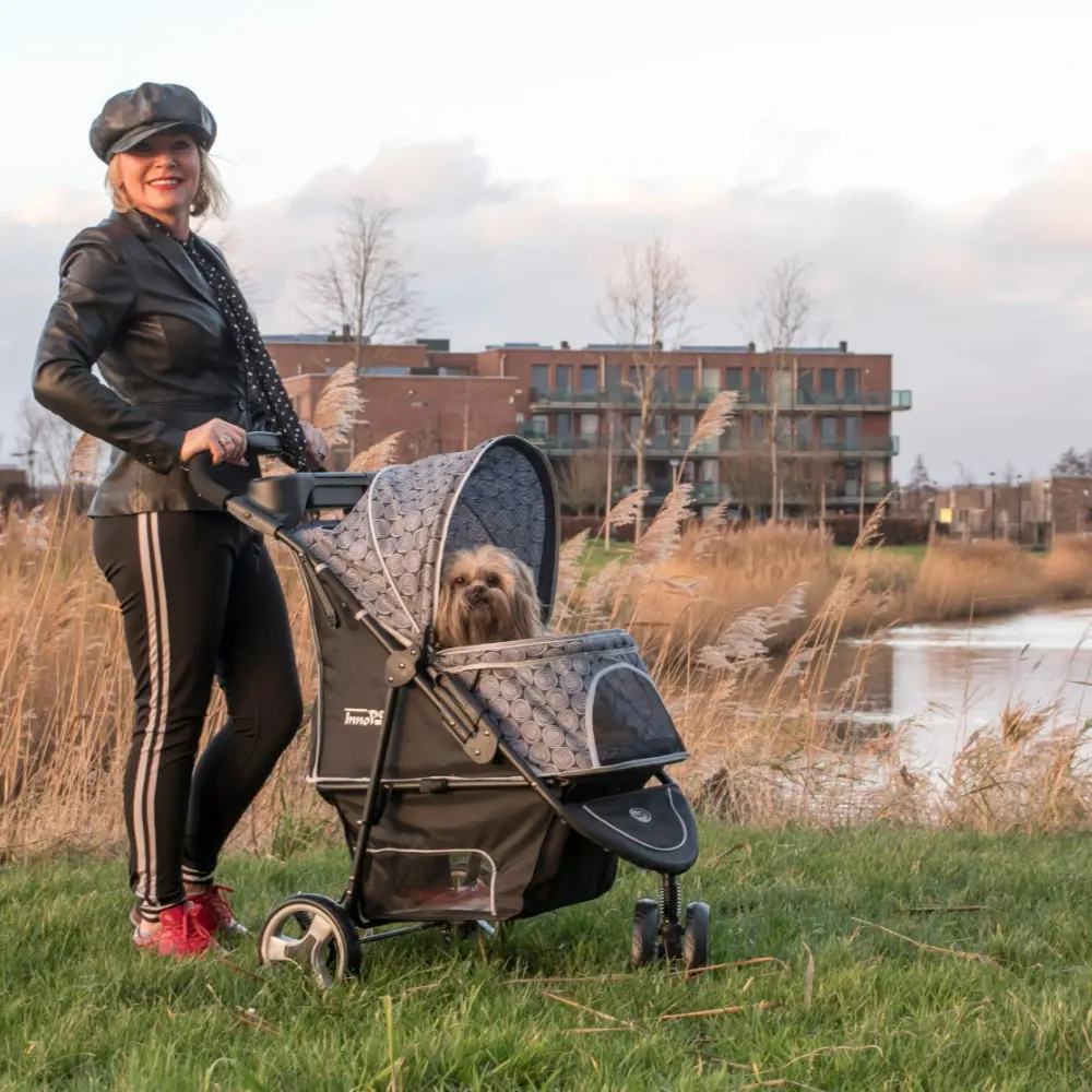 InnoPet® Allure Onyx Hundebuggy im Einsatz mit Hund