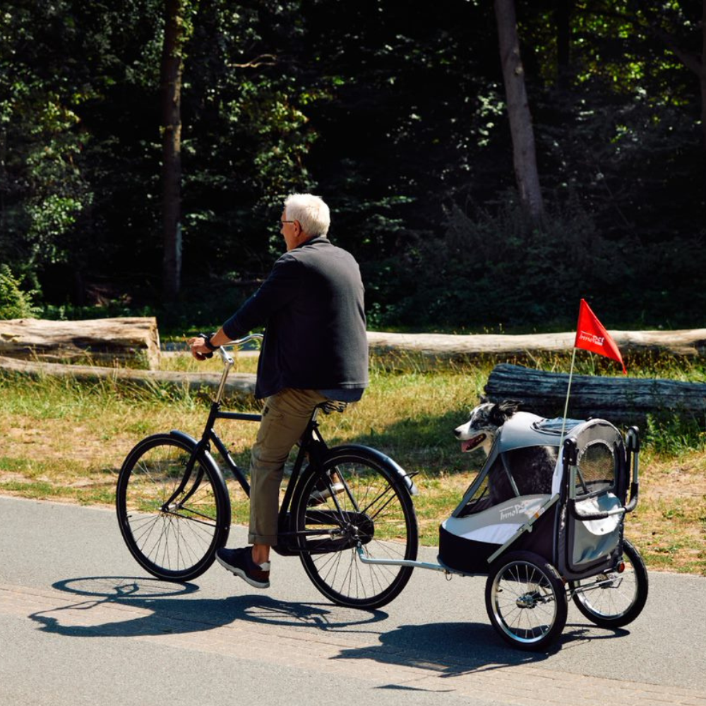 InnoPet Sporty-Trailer Deluxe Fahrradanhänger mit Hund schwarz silbergrau