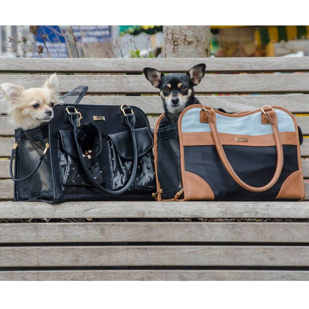 InnoPet® Traveler Urban und Jaguar Hundetaschen mit Hunde