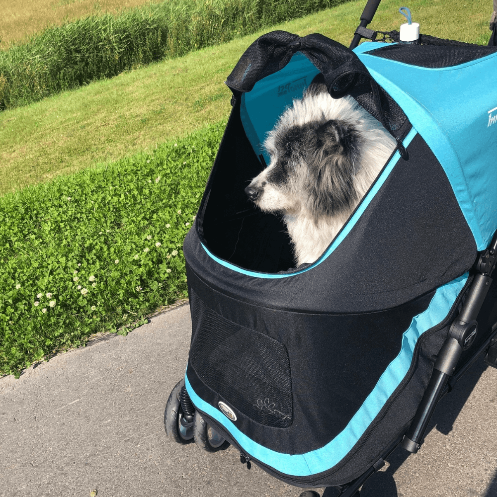 InnoPet® Mammut Hundewagen für große Hunde blau schwarz mit Elo von der Seite